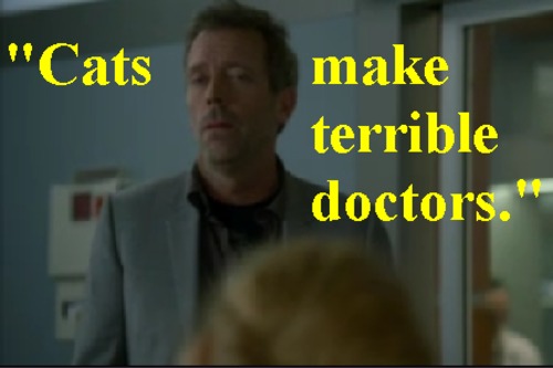 tumblr_m26v9a1uWI1qh6ytbo1_500